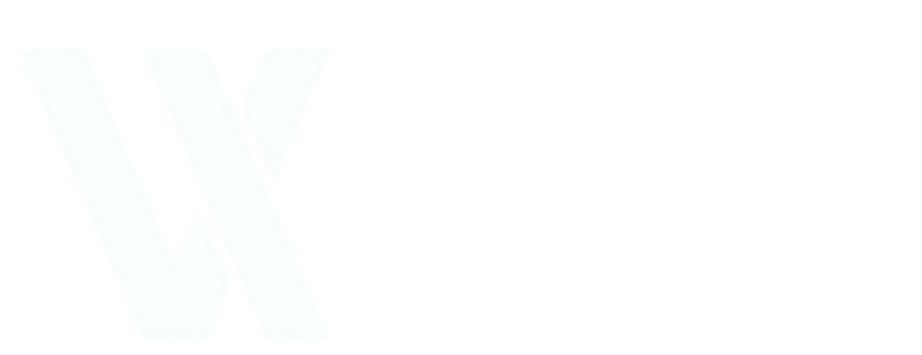 Vixentra Digital